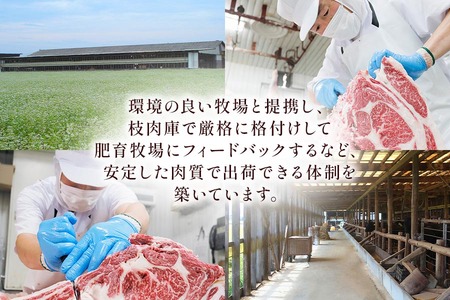 [A5等級] 飛騨牛ロース すき焼き ・しゃぶしゃぶ用1kg [0847] すき焼き トキノ屋食品