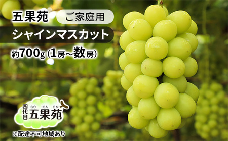 ぶどう 2026年 先行予約 ご家庭用 シャインマスカット 約700g（1房～数房） 岡山 シャインマスカット