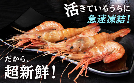ぼたん海老 北海道 虎杖浜産 約400g AA031