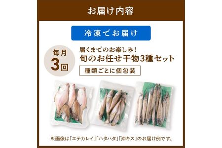 【干物 定期便・3ヶ月】リピーター人気！京丹後の地元魚屋が作ったお任せ干物セット（冷凍）日本海 旬の干物 定期便 3回 ・干物セット定期便・干物詰め合わせ・ひもの