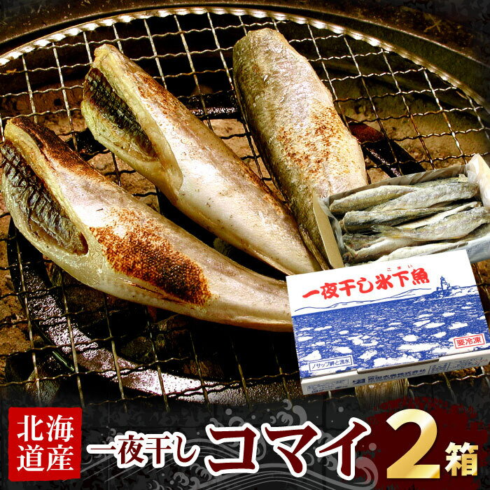 【ふるさと納税】【12月21日決済確定分まで年内配送】 一夜干こまい 500g × 2P コマイ 氷下魚 カンカイ さかな 魚 サカナ 干物 珍味 おつまみ 北海道 根室市 ふるさと納税