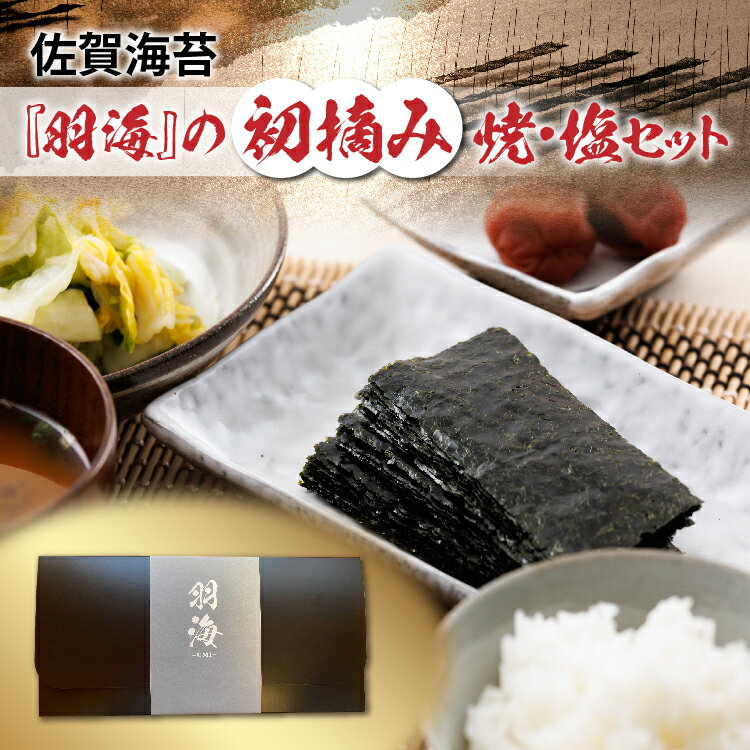 【ふるさと納税】【数量限定】佐賀海苔 初摘み 羽海（うみ） 焼海苔 塩海苔 セット 希少 海苔 詰め合わせ ギフト お取り寄せ 1番摘み a-95