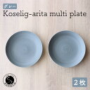 【ふるさと納税】有田焼 Koselig-arita multi plate グレー 2枚組 山忠 器 食器 皿 北欧 モダン マルチプレート パスタ皿 カレー皿 20000円 2万円 A20-297