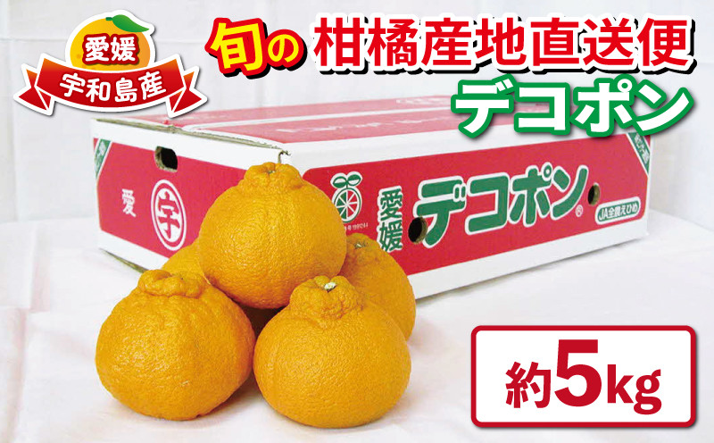 
            デコポン 不知火 優品 5kg 先行予約 えひめ南農業協同組合直販センター JA 高級柑橘 しらぬい  高級 mikan 蜜柑 みかん 果物 フルーツ 愛媛ミカン 愛媛蜜柑 愛媛みかん 農家直送 産地直送 数量限定 国産 愛媛 宇和島 B020-009005
          