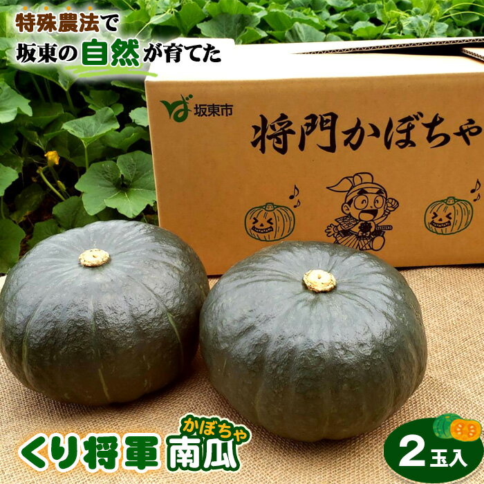 【ふるさと納税】特殊農法で坂東の自然が育てた「くり将軍南瓜」2玉入 ／ かぼちゃ カボチャ 食味 品質 糖度 野菜 ベジワングランプリ1等特別賞受賞 送料無料 茨城県 No.843