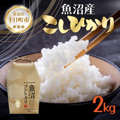 ふるさと納税 十日町市 【令和7年産 新米予約】魚沼産 コシヒカリ 2kg 精米 新潟県 十日町市 仁田地区限定