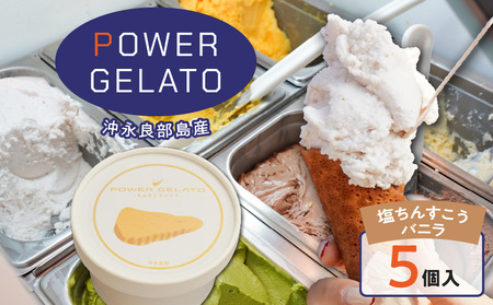 POWER GELATO 沖永良部島産（ 塩ちんすこうバニラ ）90ml × 5個入り W066-004-01 ジェラート パワージェラート デザート 氷菓子 菓子 手作り CAFE Typhoon ちんすこう バニラ 特産品 SDGs 沖永良部島 セット 美味しい おいしい 甘い あまい 冷たい 冷凍 ふるさと納税 鹿児島 和泊町 おすすめ ランキング プレゼント ギフト