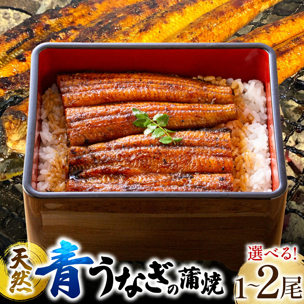 【ふるさと納税】【選べる容量】 熊本県 八代市産 天然青うなぎの蒲焼 蒲焼セット 1尾～2尾 自家製うなぎのタレ 鰻 ウナギ うなぎの蒲焼 丑の日 国産 うな丼 うな重 送料無料
