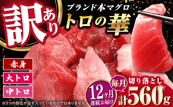 【全12回定期便】訳あり！対馬産 本マグロ 切り落とし 560g（8パック） ≪対馬市≫【桐谷商店】 トロの華 冷凍 新鮮 海鮮 小分け マグロ [WAQ034]