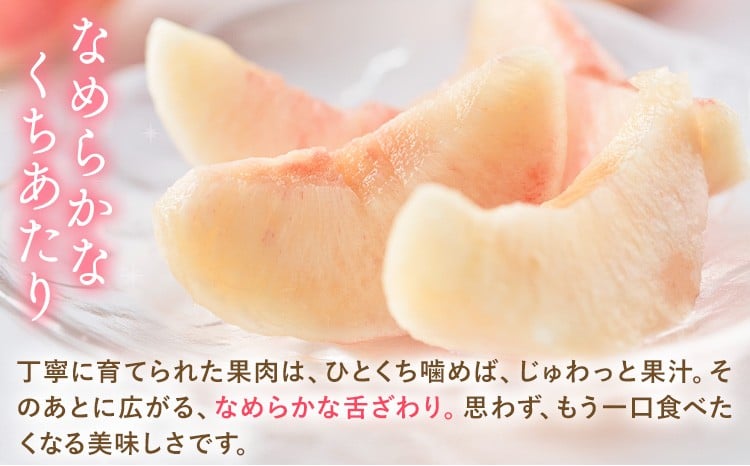 岡山の桃 約750g 《最短翌日発送！1-5営業日以内に出荷（土日祝除く）》 フルーツ 果物 岡山 矢掛町 ---yakage_loc_22_h---