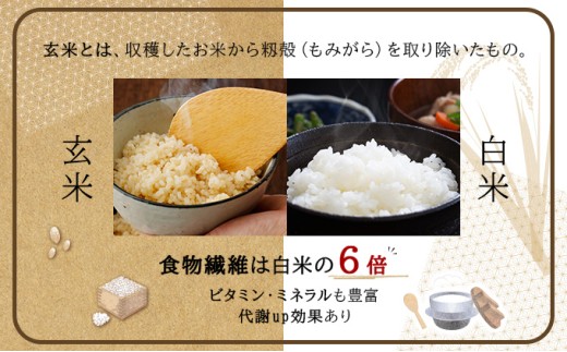 令和8年産！ファーム坂口の特別栽培米 ななつぼし玄米 30kg (30kg×1袋)