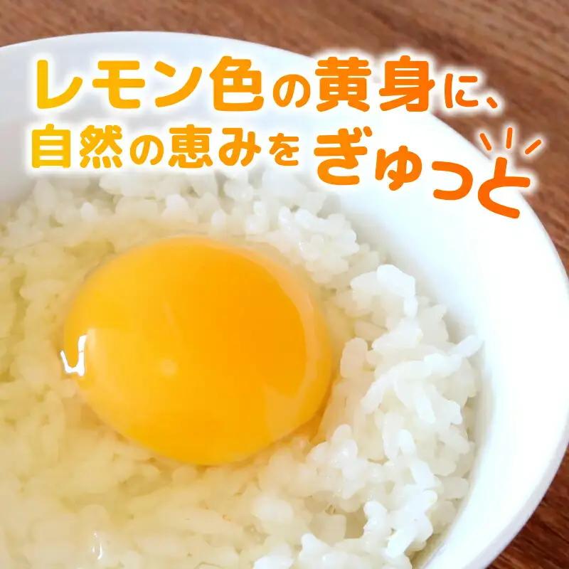 平飼いたまご 20個入り (10個×2パック) 自然由来飼料 たまご 高知県 南国市