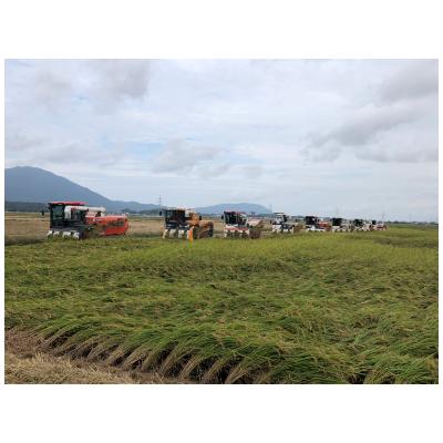 ふるさと納税 弥彦村 令和5年産弥彦村産みずほの輝き 10kg(5kg×2) 新潟県産米 大粒 冷めても美味しい 弥彦村産 |  | 02