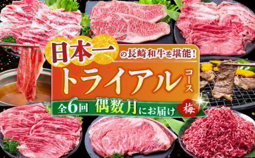 【全6回定期便】 長崎和牛 トライアルコース (梅) 長崎県/水田精肉店 [42ACAF021] 牛肉 牛 定期便 毎月 サーロイン ステーキ もも モモ すき焼き カルビ ロース バラ ミンチ
