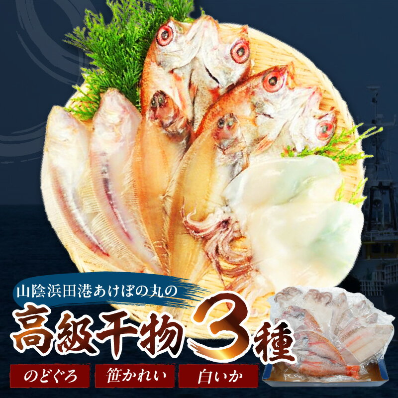 【ふるさと納税】山陰浜田港あけぼの丸ののどぐろ・笹かれい・白いか高級3種セット 魚介類 魚貝類 干物 干もの 一夜干し 干物セット 御中元 御歳暮 ギフト 海鮮 厳選 個包装【146_1490】