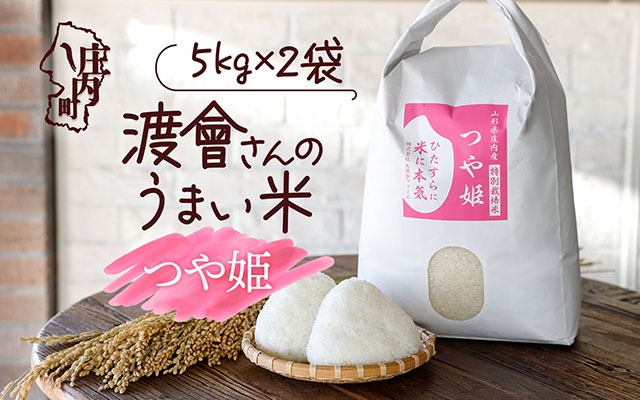 渡會さんのうまい米！つや姫 10kg 令和7年産 2025年産 ブランド米 山形県コシヒカリの原点、亀の尾発祥の地 庄内【038-026I】