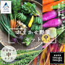 【ふるさと納税】《化学肥料不使用》おまかせ野菜セット(中) 季節の野菜 野菜セット 有機野菜 野菜 やさい 詰め合わせ 詰合せ おまかせ 新鮮 直送 人気 ランキング おすすめ お中元 お歳暮 ギフト 小松市 こまつ 石川県 ふるさと 故郷 納税 008046【家族野菜tsugutsugu】