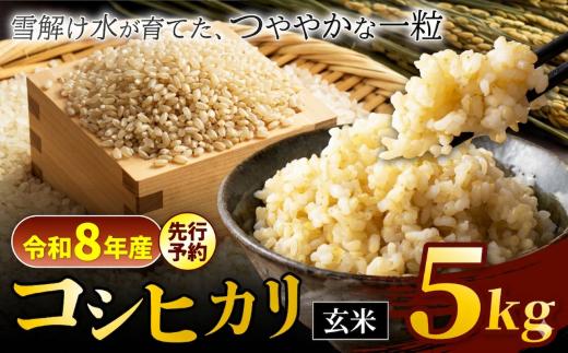 【令和8年産先行予約】コシヒカリ 玄米 5kg 信州安曇野松川村産 松川村認定農業者 北アルプス 雪解け水 | 米 こめ コメ お米 白米 玄米 コシヒカリ ライス 長野県 松川村 信州 送料無料 国