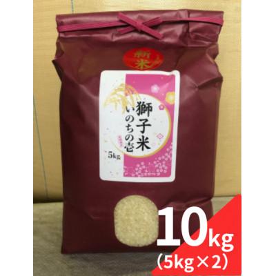 ふるさと納税 石岡市 【令和7年産】獅子米 いのちの壱 精米 10kg