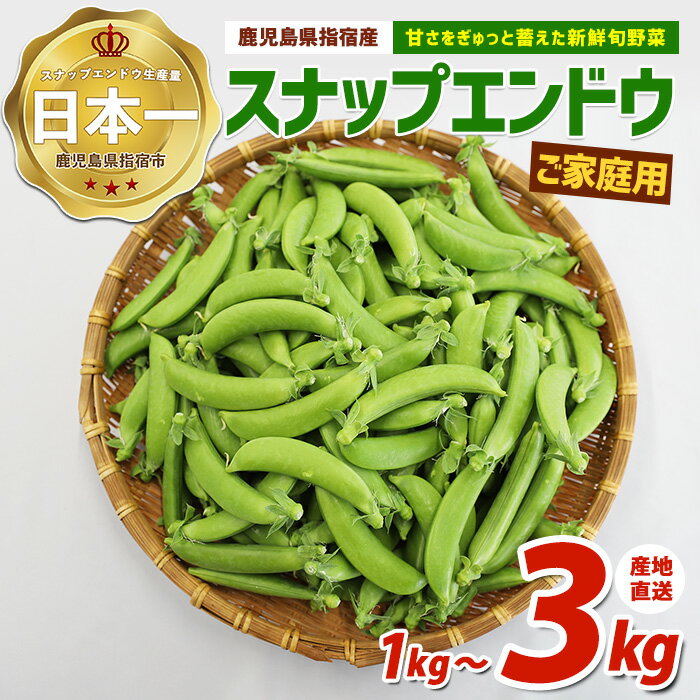 【ふるさと納税】＜期間限定！2026年2月上旬以降発送予定＞＜訳あり＞産地直送！新鮮旬野菜！ご家庭用スナップエンドウ(約1kg / 約3kg) いぶすき特産品のスナップエンドウをお届け！ 野菜 旬 スナップエンドウ 訳あり 大容量 国産 詰め合わせ やさい 【指宿促成青果】