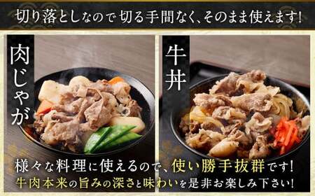 訳あり 佐賀牛 切り落とし 500g 【2026年2月発送予定】和牛 牛肉 お肉 肉 国産 化粧箱付き