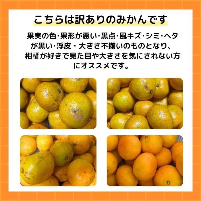 【先行予約】訳あり 愛媛みかん 10kg 傷み補償 500g 清家ばんかんビレッジ