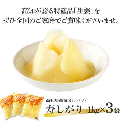 ふるさと納税 芸西村 国産黄金しょうが寿しがり　1kg×3袋 |  | 01
