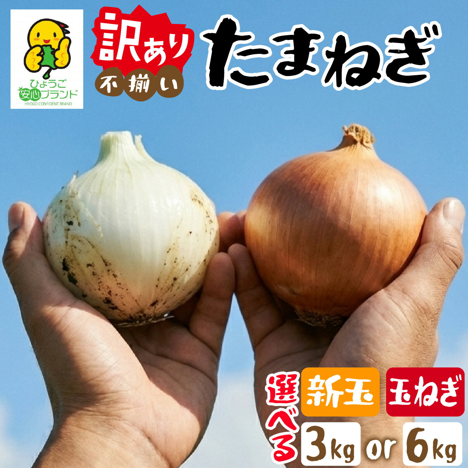【ふるさと納税】【選べる種類・容量】【貯蔵玉ねぎは先行予約受付中】淡路島 玉ねぎ 訳あり サイズ不揃い 簡易箱でお届け／ 野菜 不揃い サイズ 混載 ミックス S M L 2L タマネギ オニオン スライス サラダ 肉じゃが 常備菜 スープ 味噌汁 産地直送 兵庫県 淡路市 家計応援