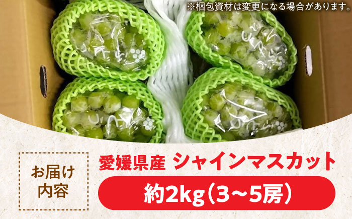 シャインマスカット約2kg（3〜5房）　愛媛県大洲市/沢井青果有限会社 [AGBN006] シャインマスカット 葡萄 マスカットぶどう 葡萄 フルーツ 