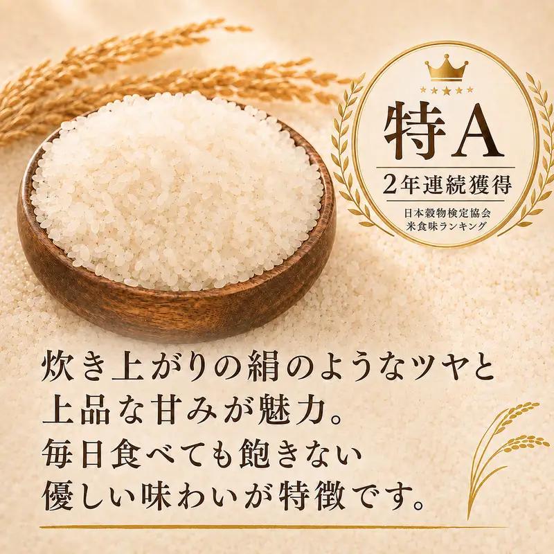 きぬむすめ 精米 白米 静岡県産 きぬむすめ【20kg(5kg×4)】