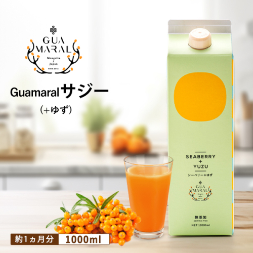 サジージュース+ゆず 1000ml×1本 | サジージュース サジー シーベリー 沙棘 グアマラル 健康ドリンク ドリンク ジュース 健康 美容 栄養 果汁 鉄分補給 栄養補給 健康食品 セット  贈答 贈り物 プレゼント ギフト 茨城県 古河市 送料無料 _DX03