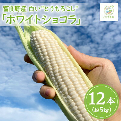 【ふるさと納税】【先行予約】北海道富良野産白い"とうもろこし"「ホワイトショコラ」12本(約5kg)【配送不可地域：離島】【1576599】