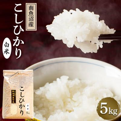 ふるさと納税 南魚沼市 【令和7年産 】南魚沼産コシヒカリ(白米)【5kg】