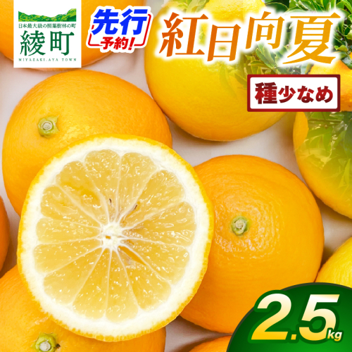 【先行予約】紅日向夏 2.5Kg（種が少ない）【JA綾町】_A0114-2441