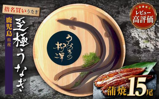 
うなぎの柳澤 うなぎ蒲焼15尾 計2.55kg 鰻 国産うなぎ蒲焼き うな重 ひつまぶし ウナギ 蒲焼 人気 おすすめ 鹿児島県 大崎町
