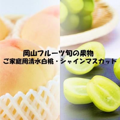 ふるさと納税 美作市 【発送月固定定期便】26年先行予約 ご家庭用 岡山旬のフルーツ 清水白桃とシャインマスカット全2回