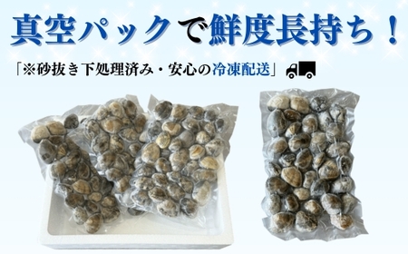 天然 あさり 約1.2kg (300g×4袋) 冷凍 小分け 個包装 岬だより 砂抜き 水洗い 下処理済み アサリ