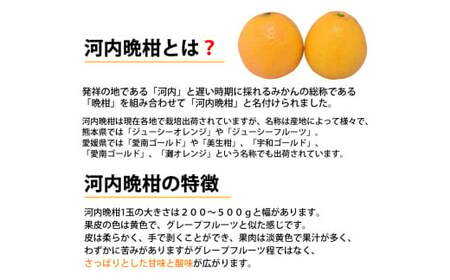 訳あり 河内晩柑 4kg 晩柑 ばんかん 柑橘類 果物 フルーツ 【2026年7月下旬迄発送予定】