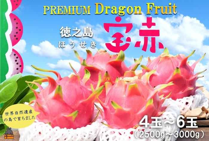 ～ルビーの輝き～プレミアムドラゴンフルーツ“徳之島宝赤（ほうせき）”（2.5kg～3kg）（ ドラゴンフルーツ 果物 南国 ピタヤ 太陽 美容 健康 世界自然遺産 こだわり ）