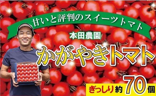 【人気のスイーツトマト】本田農園のかがやきトマト2箱（約70個） cz005n00
