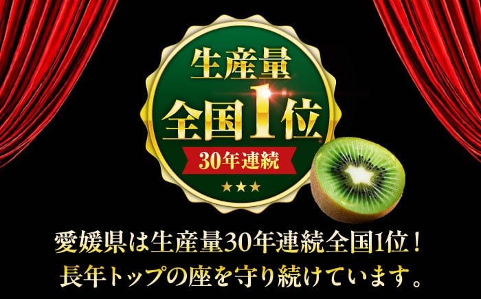 生産量日本一！家族で毎日食べられる！キウイフルーツ 約5kg 