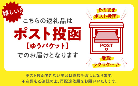 【ゆうパケット】包丁切りさぬきうどん 半生 300g（つゆ付き） | うどん つゆ だし セット おすすめ 人気 名物 料理 出汁セット グルメ うどんセット 半生うどん ギフト 小分け 出汁付き |