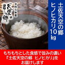 【ふるさと納税】★令和5年産★農林水産省の「つなぐ棚田遺産」に選ばれた棚田で育てられた棚田米　土佐天空の郷　ヒノヒカリ　10kg　お米・ヒノヒカリ