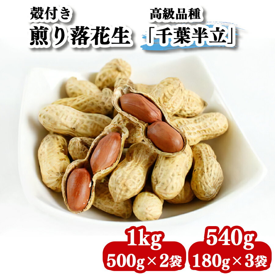 【ふるさと納税】奥野農園 殻付き煎り落花生 (高級品種「千葉半立」)[選べる内容量：計540g／計1kg]｜産地 直送 茹で 落花生 大粒 ピーナッツ 贈り物 ギフト お歳暮 千葉 房総 袖ケ浦 [0571-0574]