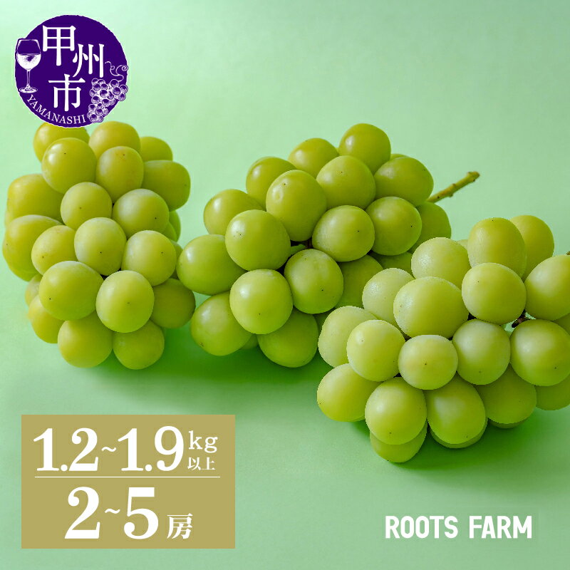 C-135 甲州市産高品質なROOTS FARMのシャインマスカット2kg3房以上