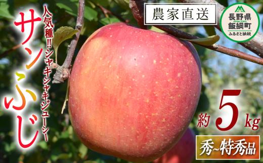 りんご サンふじ 秀 ～ 特秀 5kg 山岸ファーム 沖縄県への配送不可 2026年12月上旬頃から2026年12月下旬頃まで順次発送予定 令和8年度収穫分 信州 果物 フルーツ リンゴ 林檎 長野 予約 農家直送 長野県 飯綱町 [1152]