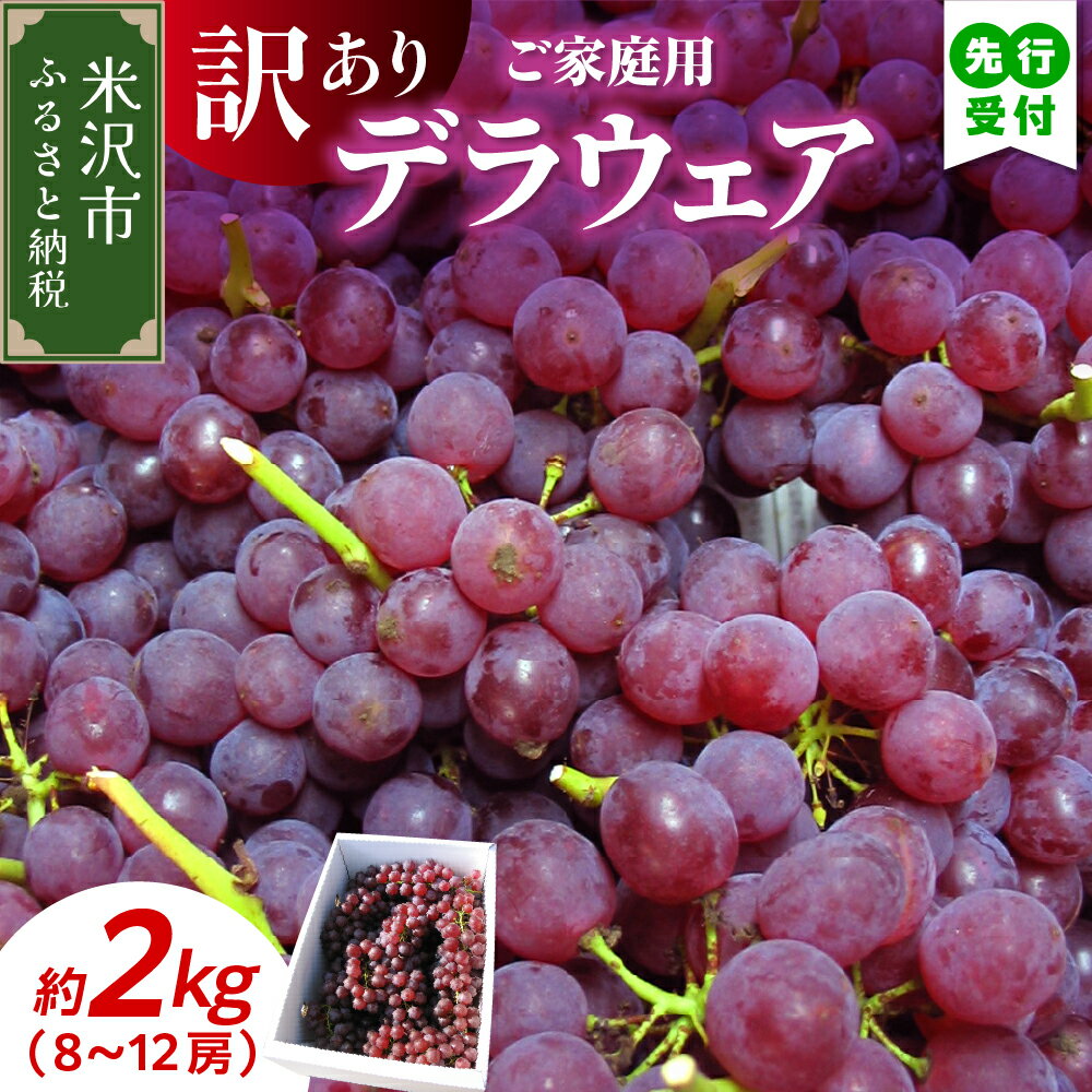 【ふるさと納税】【先行予約】令和7年産 家庭用 訳あり デラウェア 2kg 8～12房 種無し ぶどう【8月下旬～9月下旬頃お届け】2025年産 農家直送 産地直送 ブドウ 葡萄 種無し フルーツ 果物 くだもの 山形産 お試し 山形県産 米沢市