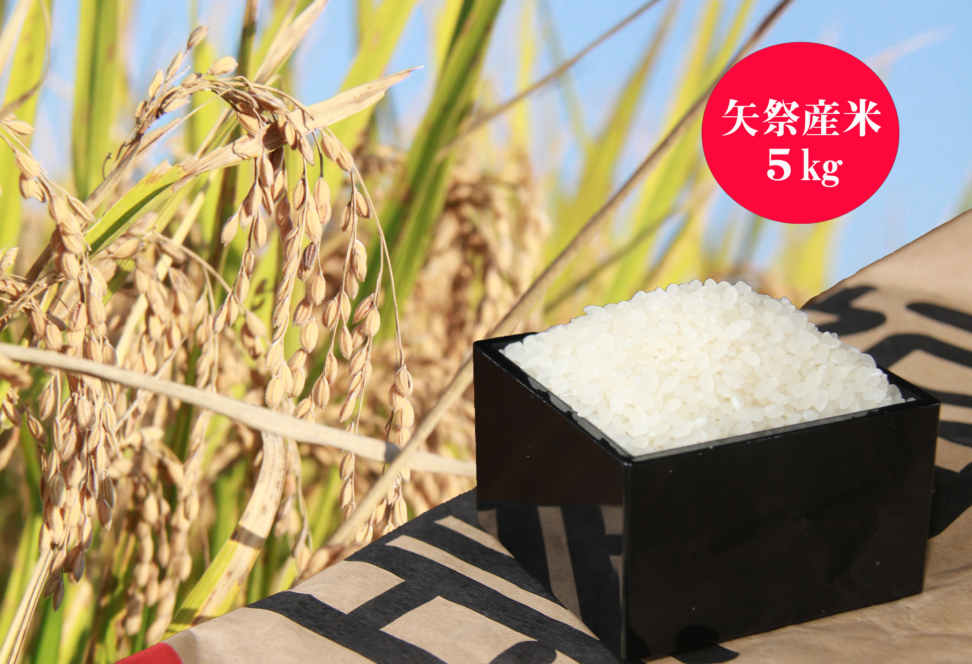 
お米５㎏＋特産品セットＤ
