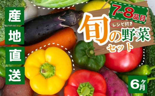 野菜定期便 7品~8品 6ヵ月 産地直送 朝採れ （ 7品 ～ 8品 野菜 セット 詰め合わせ 特産 季節 旬 新鮮 彩 ベジタブル 高知県 須崎市  ）NPO21000