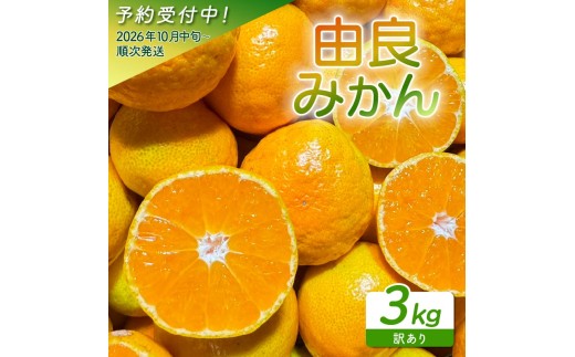 訳あり 由良 みかん 3kg 産地直送 小玉 中玉 柑橘 フルーツ 果物 蜜柑 時期 旬 季節限定 西浦 おいしい 丸榮 国産 静岡 沼津 ご家庭用